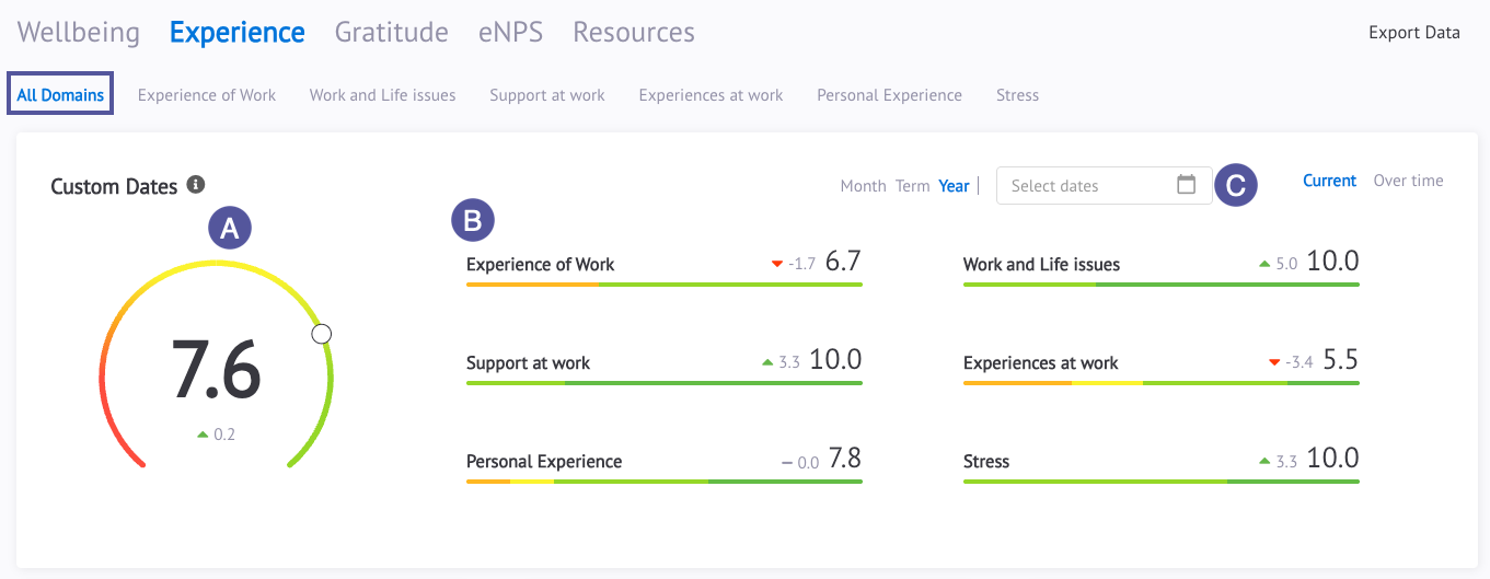 Staff Pulse: Experience dashboard overview